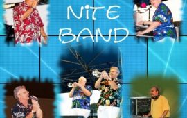 Concert Series – Beach Nite Band